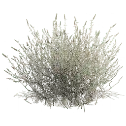 Plant Fiber icon - Tier 0 Raw resources Misc Item in Dune: Awakening.